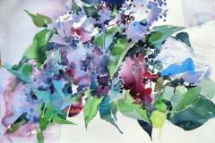 Люляк, 55/35, акварел/хартия