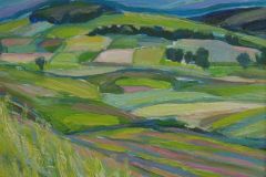 summer-37-30cm