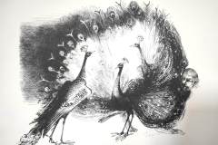 Автопортрет с пауни, литография, 38/55см