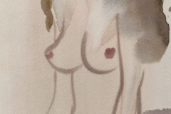 178463833_745483099664032_1399519774834085762_n