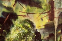 Самодивски камък, акварел, хартия, 40/50